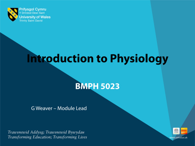 Joanne Davies - Week 2 - 17 September 2024